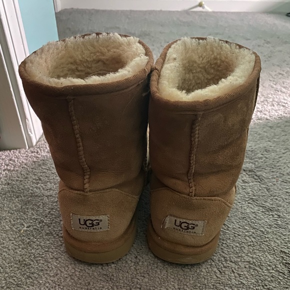 Classic Short Uggs Chestnut - Picture 2 of 3